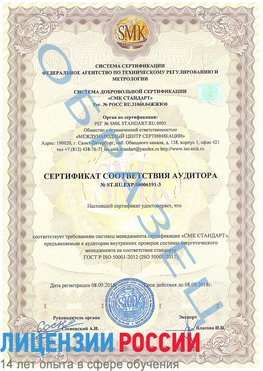 Образец сертификата соответствия аудитора №ST.RU.EXP.00006191-3 Сальск Сертификат ISO 50001